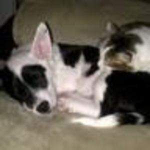 Meet your Posher, Lee